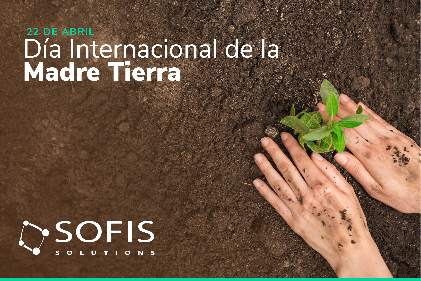 Persona sembrando una planta