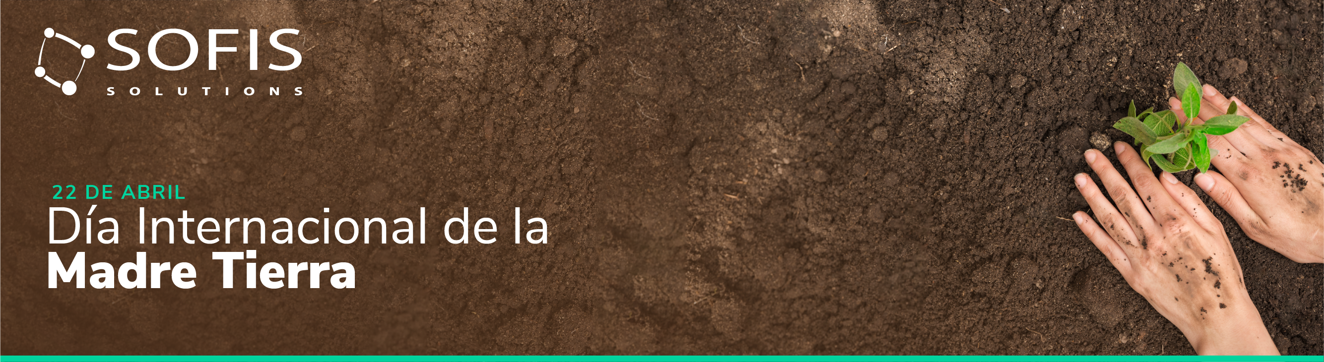 Persona sembrando una planta