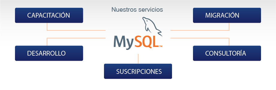 Infografía servicios de Sofis Solutions