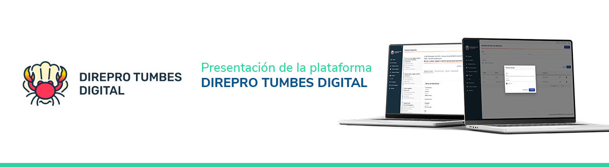 Pantalla de computado donde aparece el sistema DIREPRO Tumbes Digital