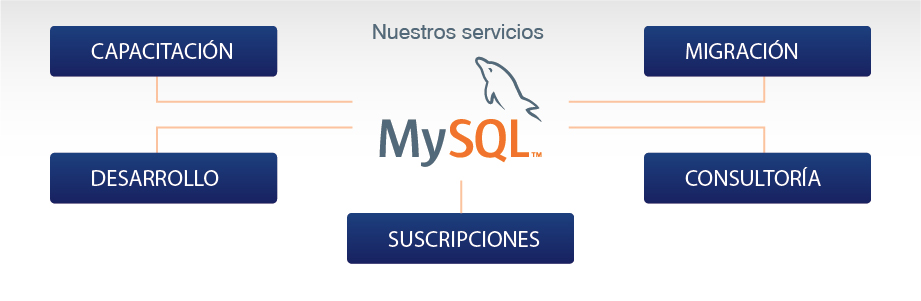 Infografía servicios de Sofis Solutions