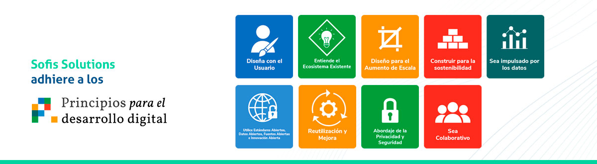 Principles for Digital Development