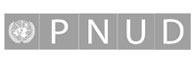 PNUD